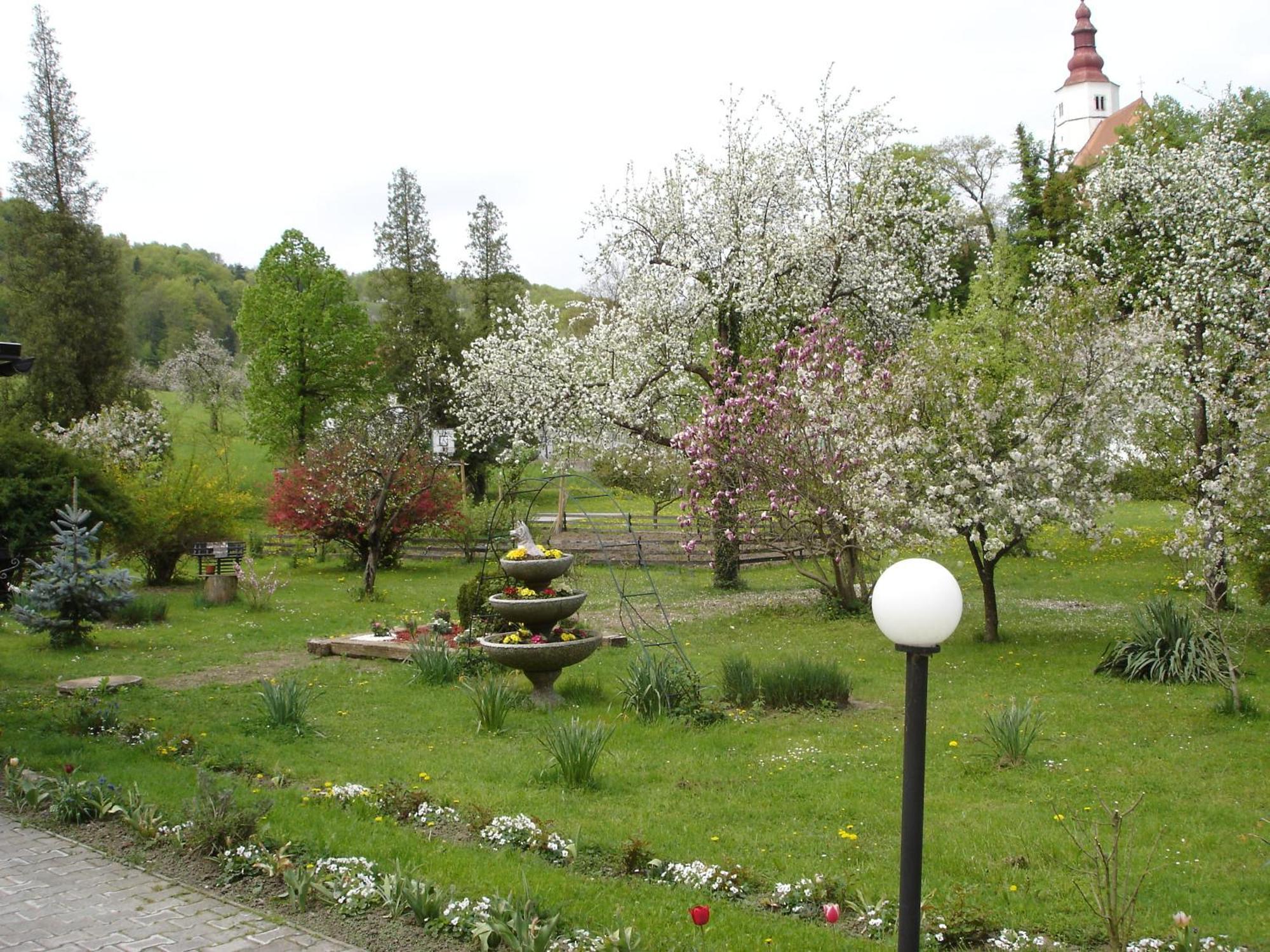 Guest House Cater Ласко Экстерьер фото
