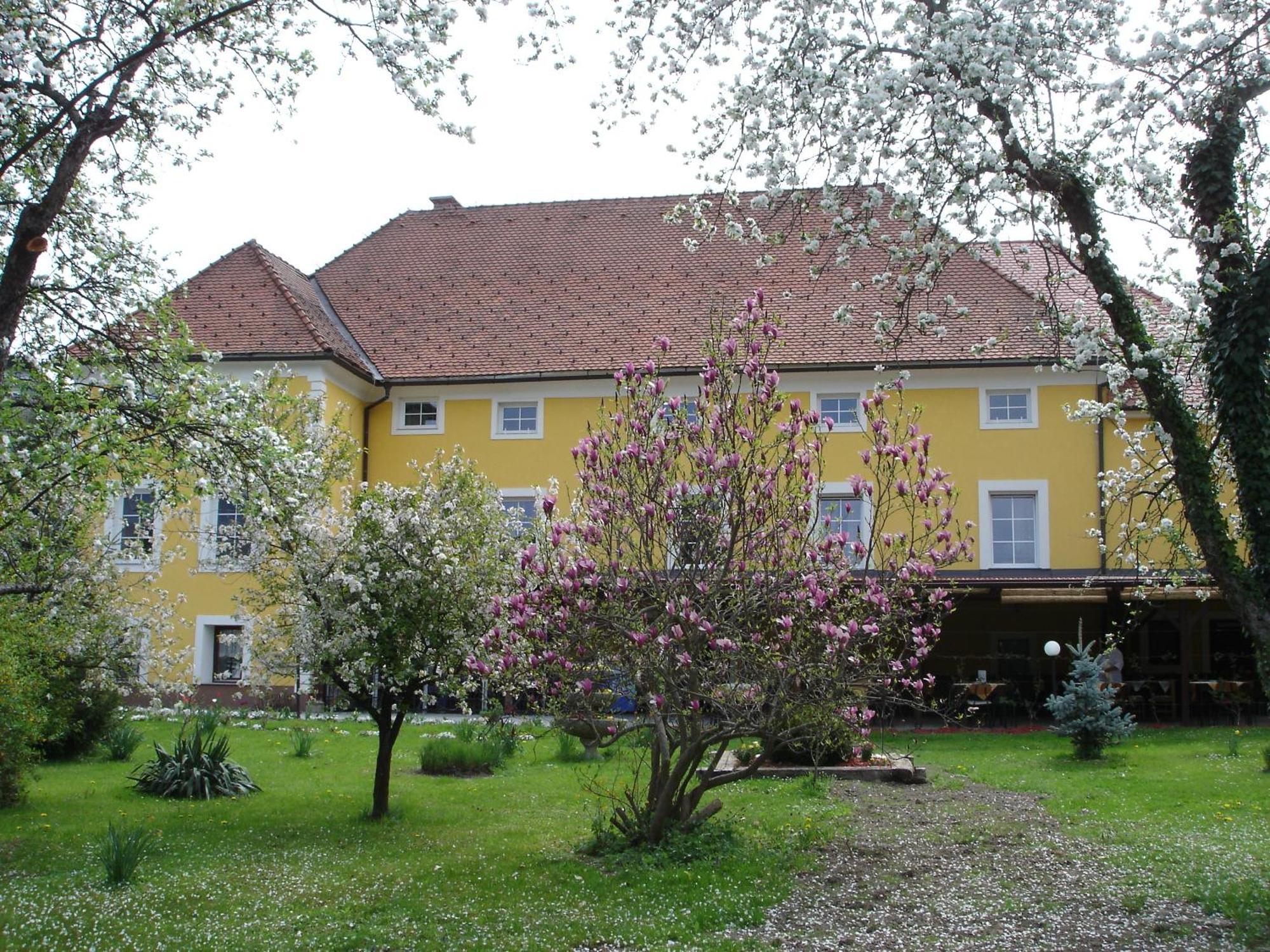 Guest House Cater Ласко Экстерьер фото